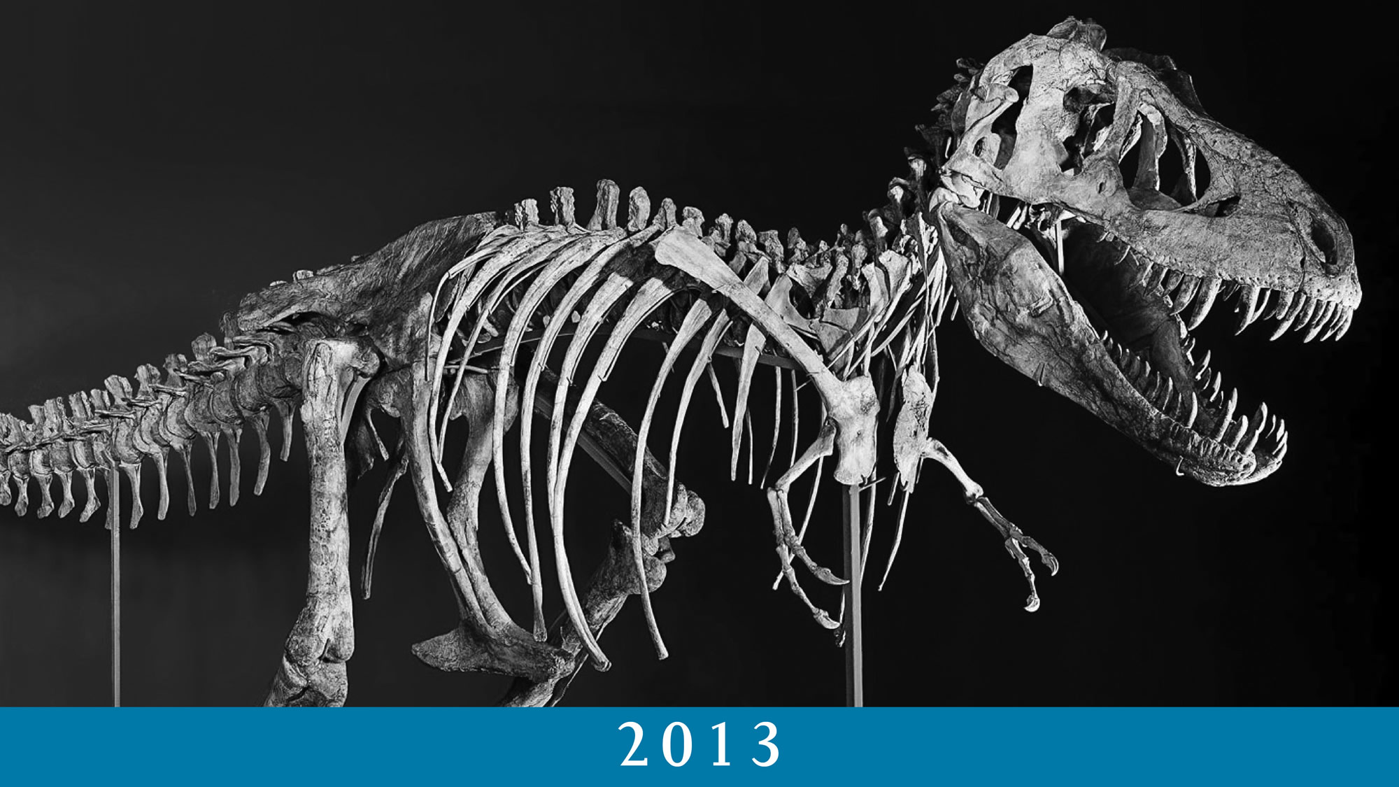 2013 2013